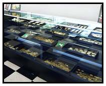 Saint Petersburg Jewelry & Coins